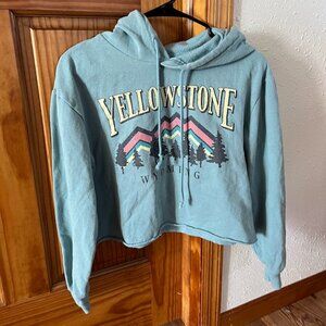 Mighty Fine Yellowstone Wyoming Cropped Hoodie, Small, Blue/Green